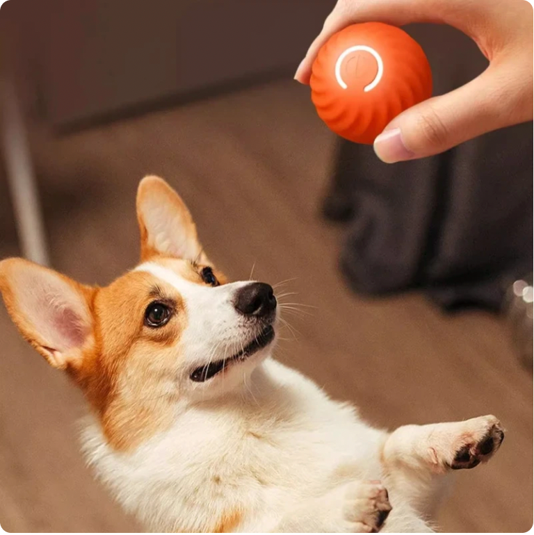 Smart Tennisball