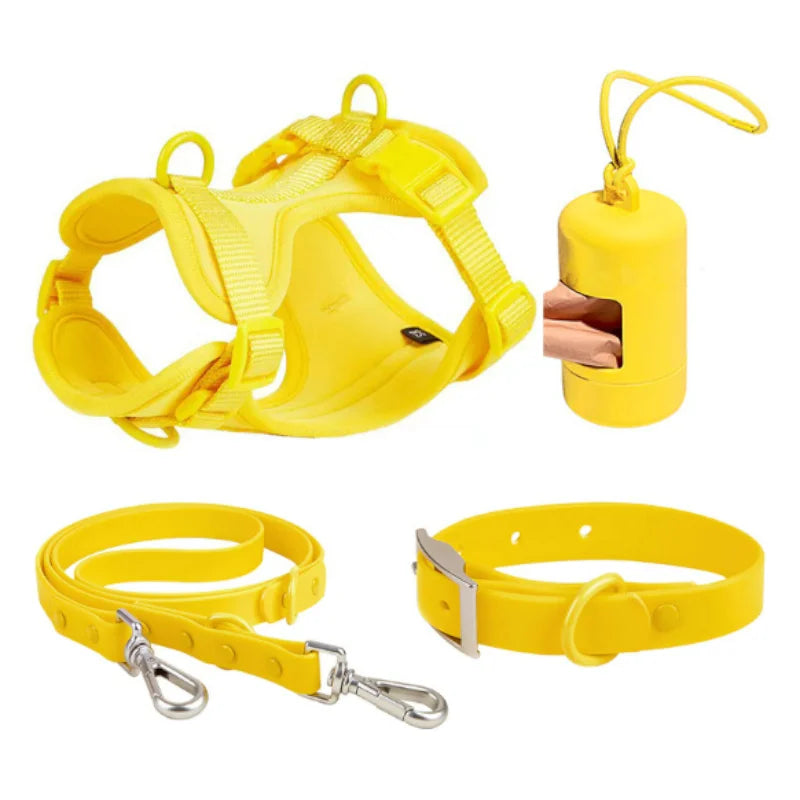 Kokosnuss-Set