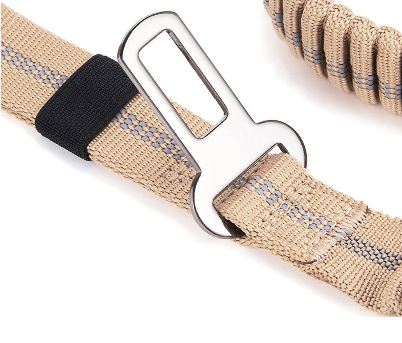FlexiGuard Leine