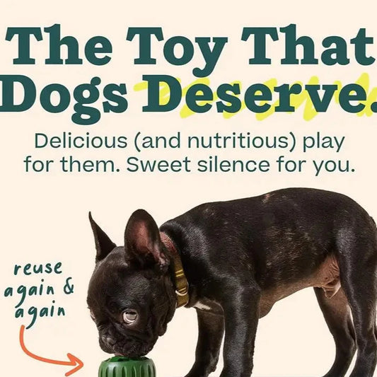 TreatFreeze™️ Ball