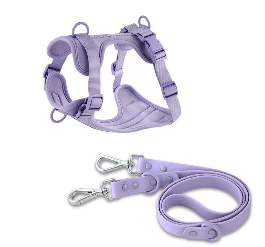 Kokosnuss-Set