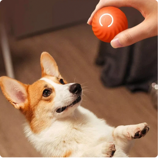 Smart Tennisball