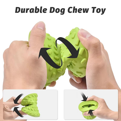 OMD Treat Toy