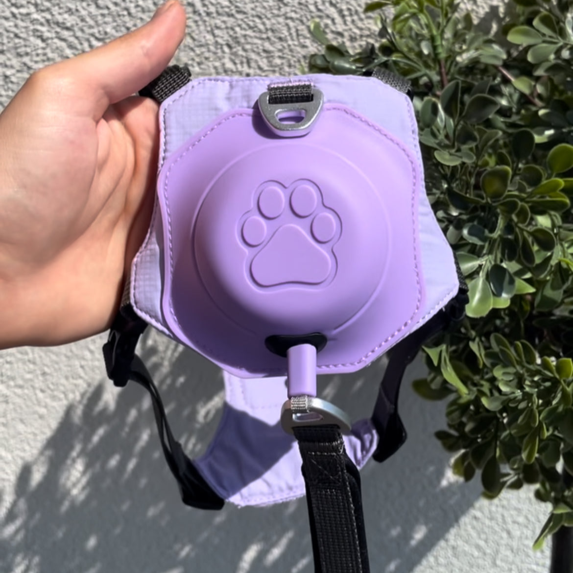 Ohhmydog Pro mini