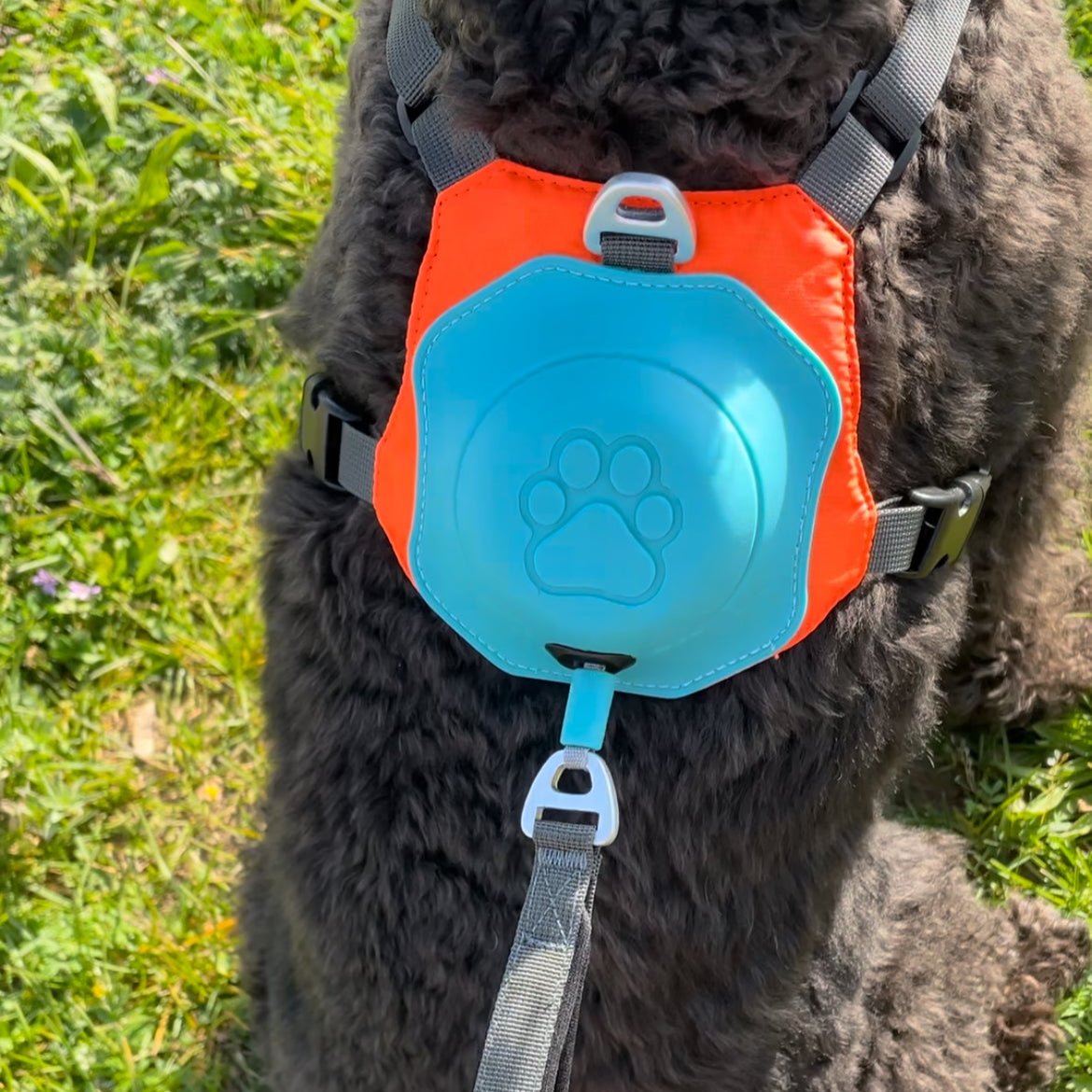 Ohhmydog Pro mini