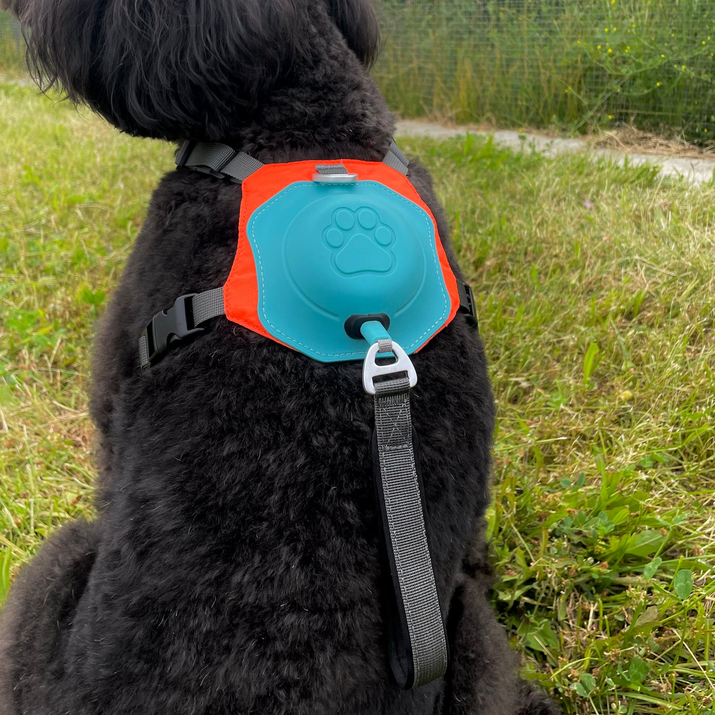 Ohhmydog Pro mini