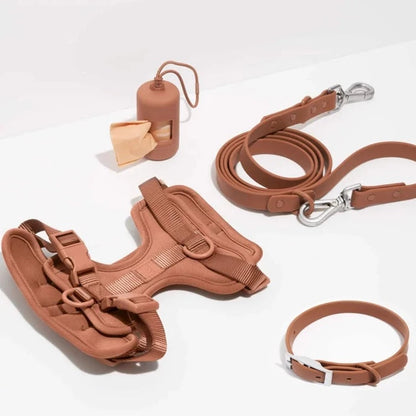 Kokosnuss-Set