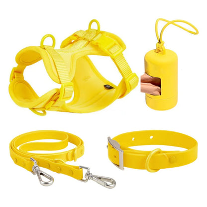 Kokosnuss-Set
