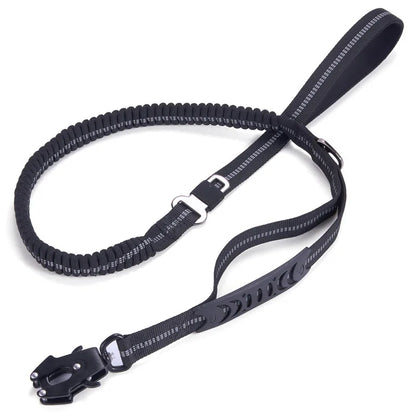 FlexiGuard Leine