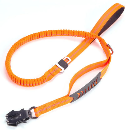 FlexiGuard Leine